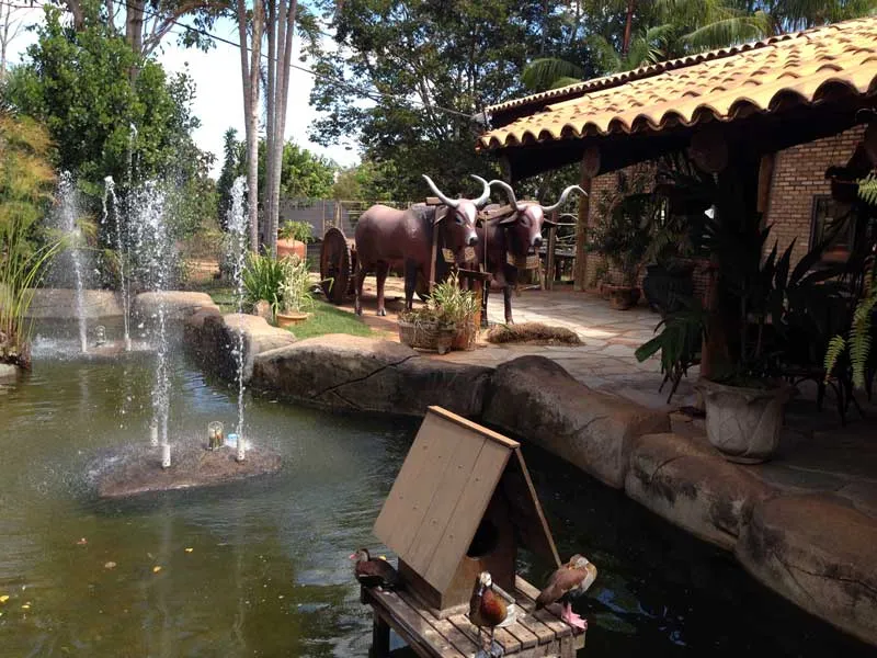 Brioso e Manhoso - Entrada 2