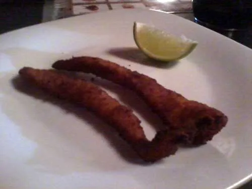 Kamiga - Isca de Peixe